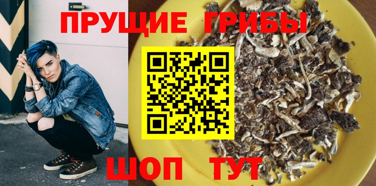 Псилоцибиновые грибы Psilocybe Советск