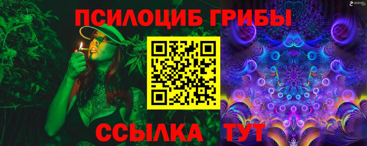 Псилоцибиновые грибы мицелий  Вход с VPN  Псилоцибиновые грибы прущие грибы  Советск 