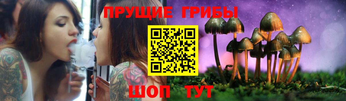 ГАШ Советск